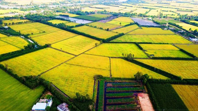 Nghiên cứu về chuyển đổi số ngành nông nghiệp vùng đồng bằng sông Cửu Long phục vụ phát triển nông nghiệp bền vững và thích ứng với biến đổi khí hậu 